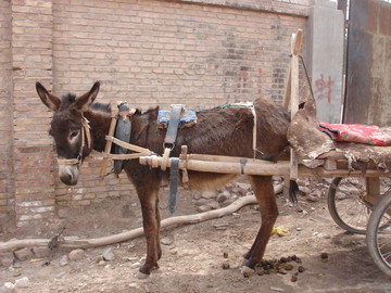 「中華人民共和国編（新疆ウイグル自治区）」シルクロードを放浪した2006年の旅行記の画像