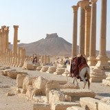 「シリア・アラブ共和国」シルクロードを放浪した2006年の旅行記の画像