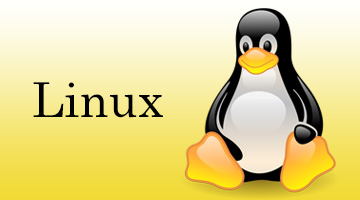 Linux rm オプション